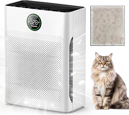 Air Purifiers for Home Large: Does It Really Work for Everyday Use?