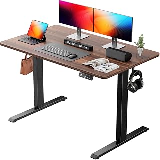 Standing Computer Gaming Office Desk - 48 x 24 Inches Adjustable Stand Up Electric Height Rising Table with Memory Presets for Home Study Writing PC Work, Modern Simple Walking Sit Desk, Easy Assembly
